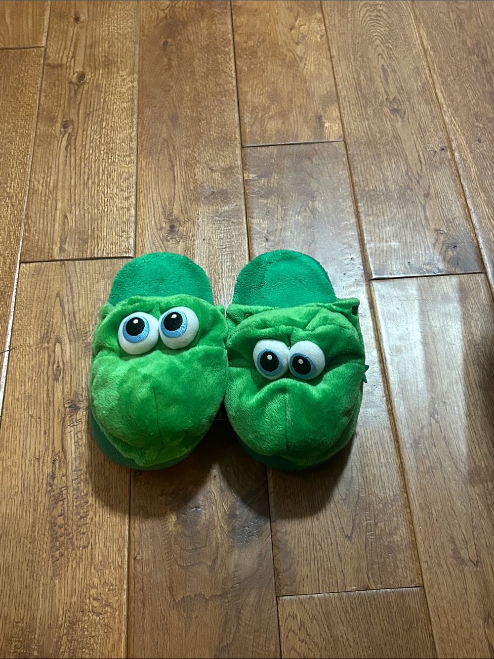 Green Plush Frog Slippers